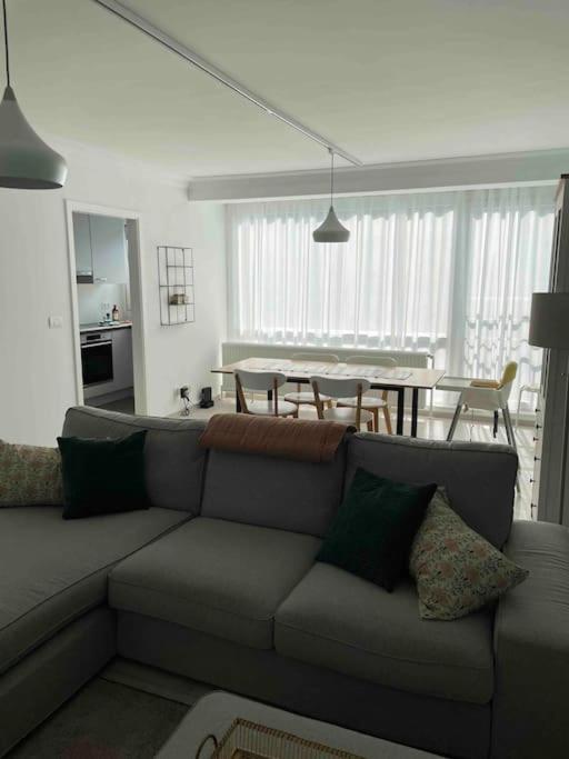 Residentie Piccadilly 2 Slpk Appartement Te Oostende, 4 Tot 5 Pers, Met Terras Zewnętrze zdjęcie
